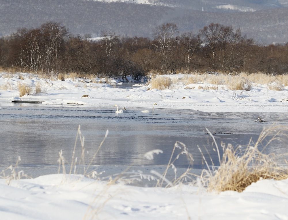 Photograph by Наталья Турчик