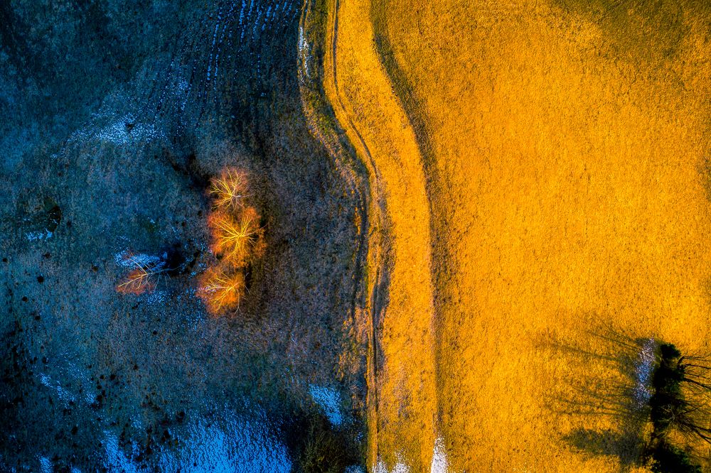 Photograph by Alain Veldin