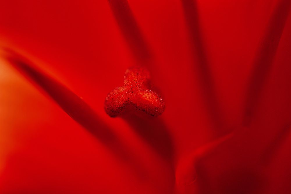 Photograph by Bassant Meligy