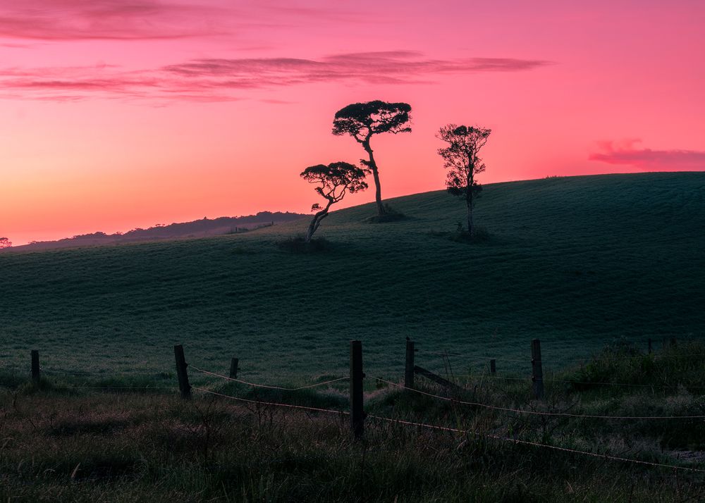 Photograph by Sulochana Udawela