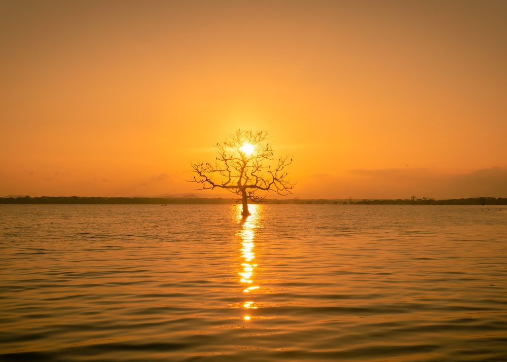 Photograph by Sulochana Udawela