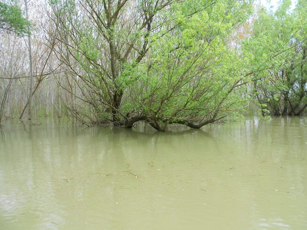 Photo #6219249