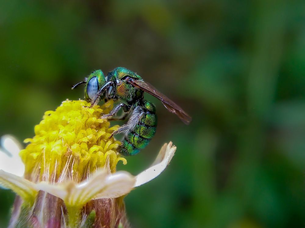 Photograph by Pasidu wasala