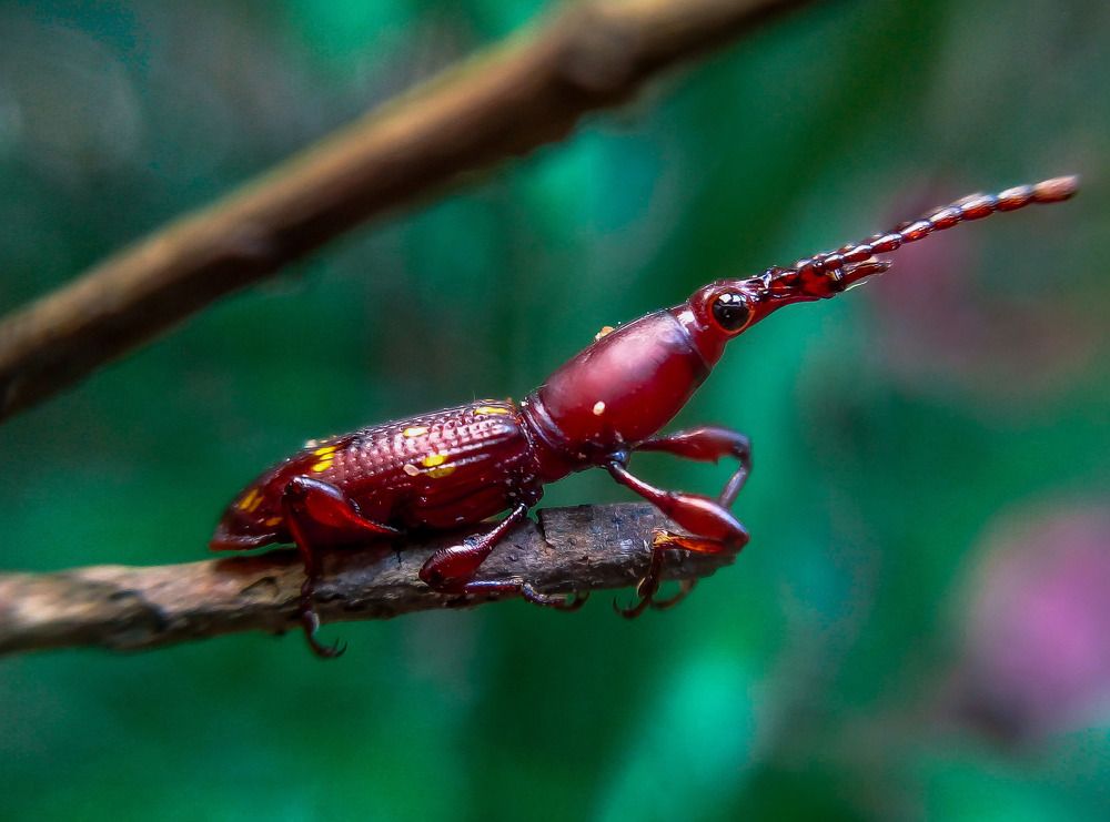 Photograph by Pasidu wasala