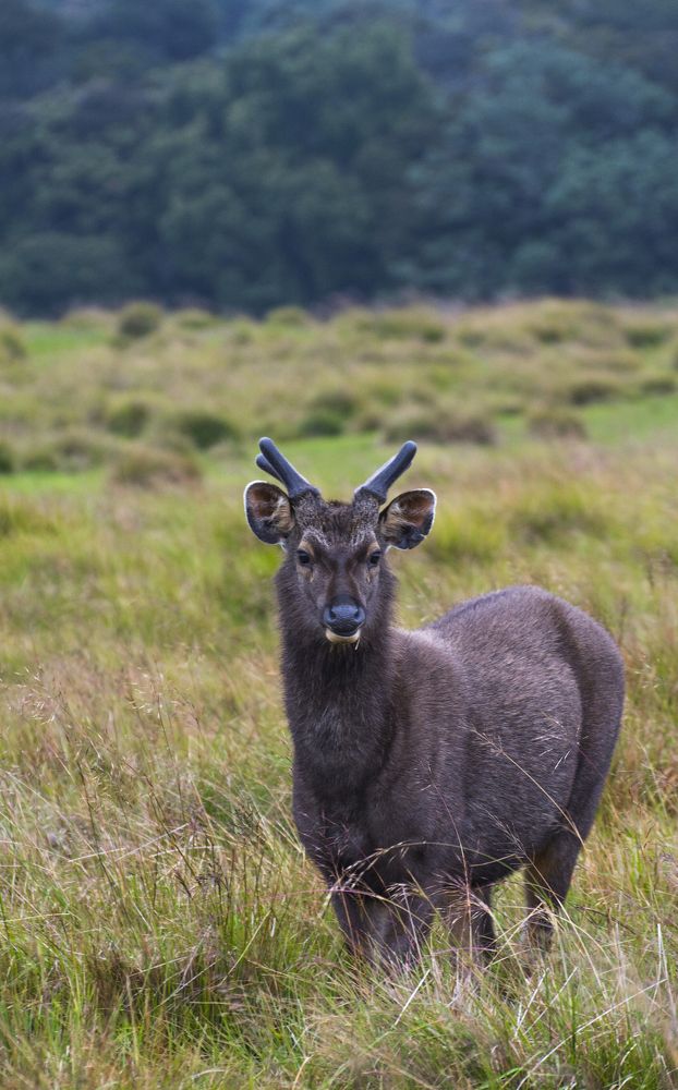 Photograph by Savindu Indurisi Gajaman Kankanamge