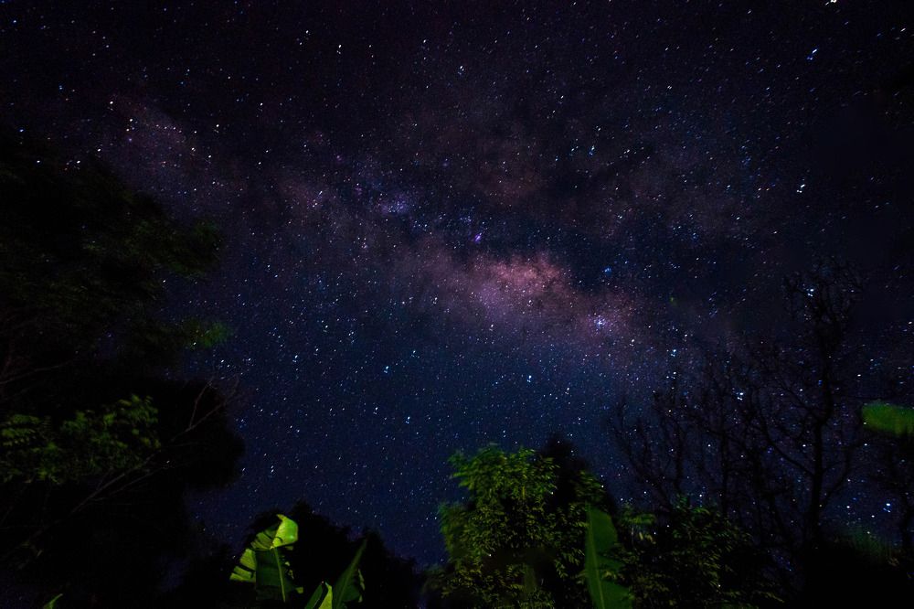 Photograph by Pasidu wasala