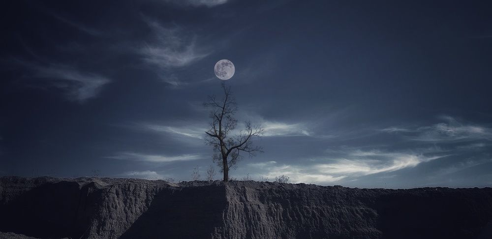 Фотография автора reyhane  khavaninzadeh