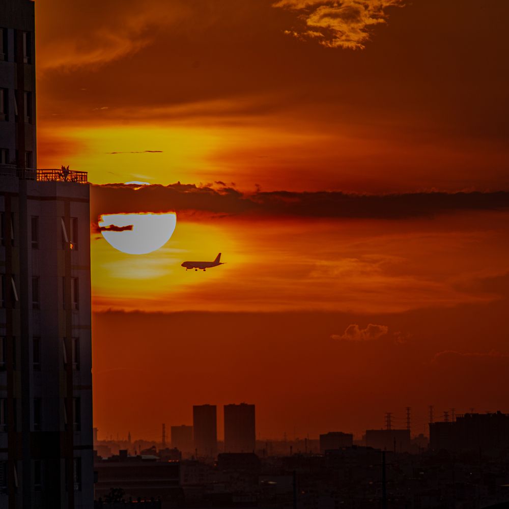 Photograph by Dzintra Zvagina