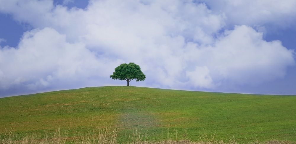 Фотография автора reyhane  khavaninzadeh