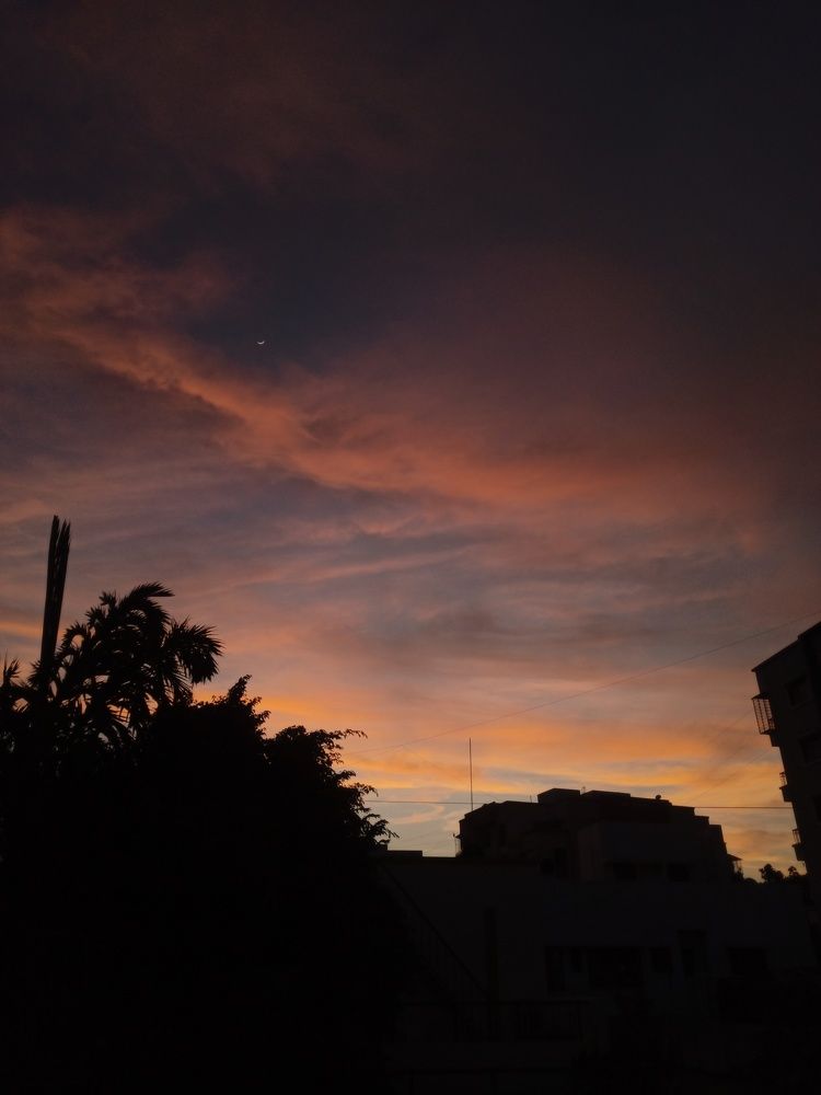 Photograph by Rameshwari Chaudhary