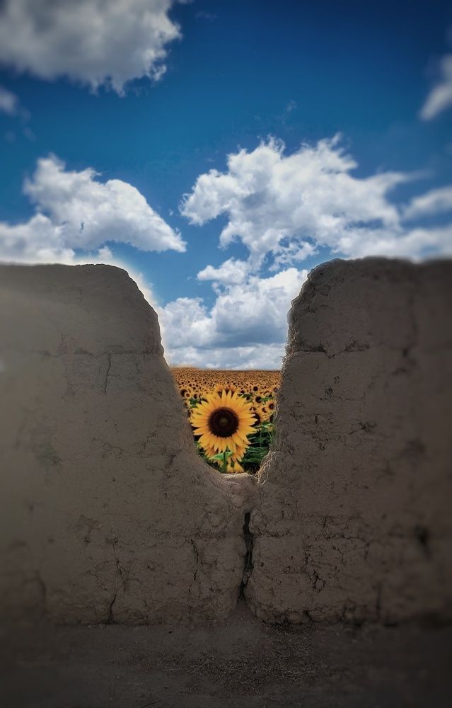 Фотография автора reyhane  khavaninzadeh