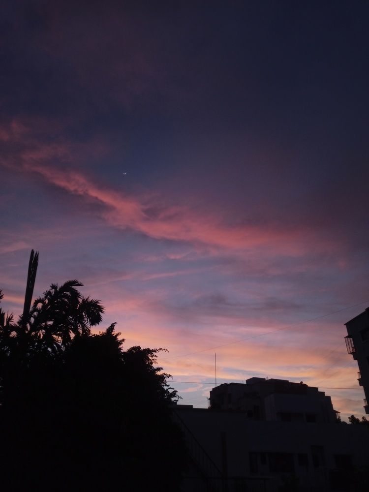 Photograph by Rameshwari Chaudhary