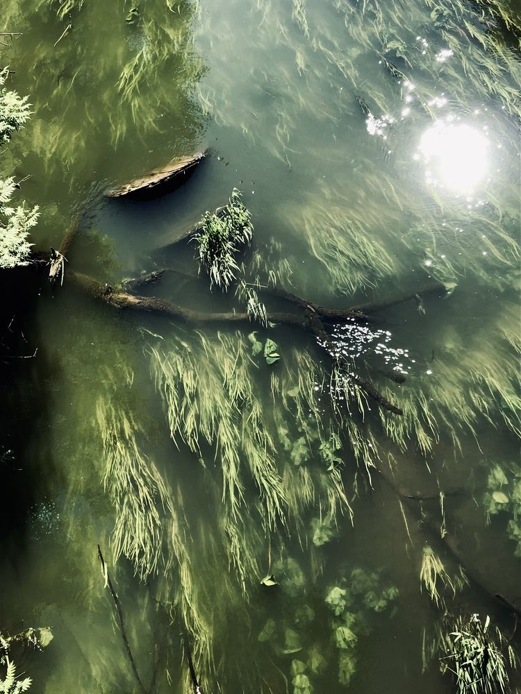 Фотография автора Зоя Малхова