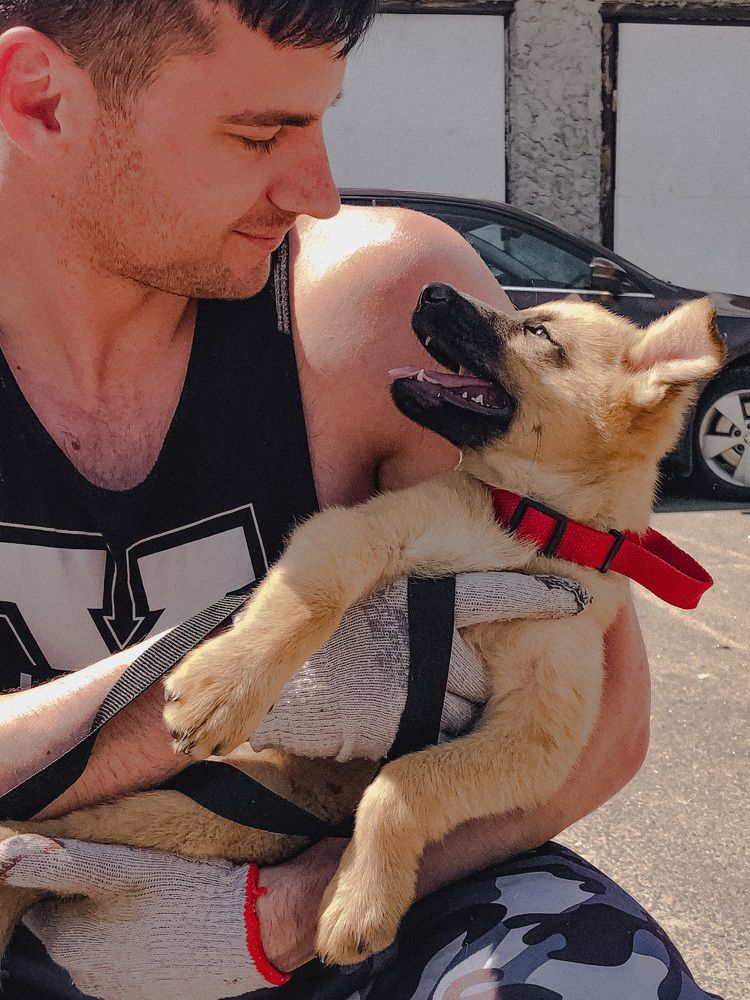 Мужской портрет