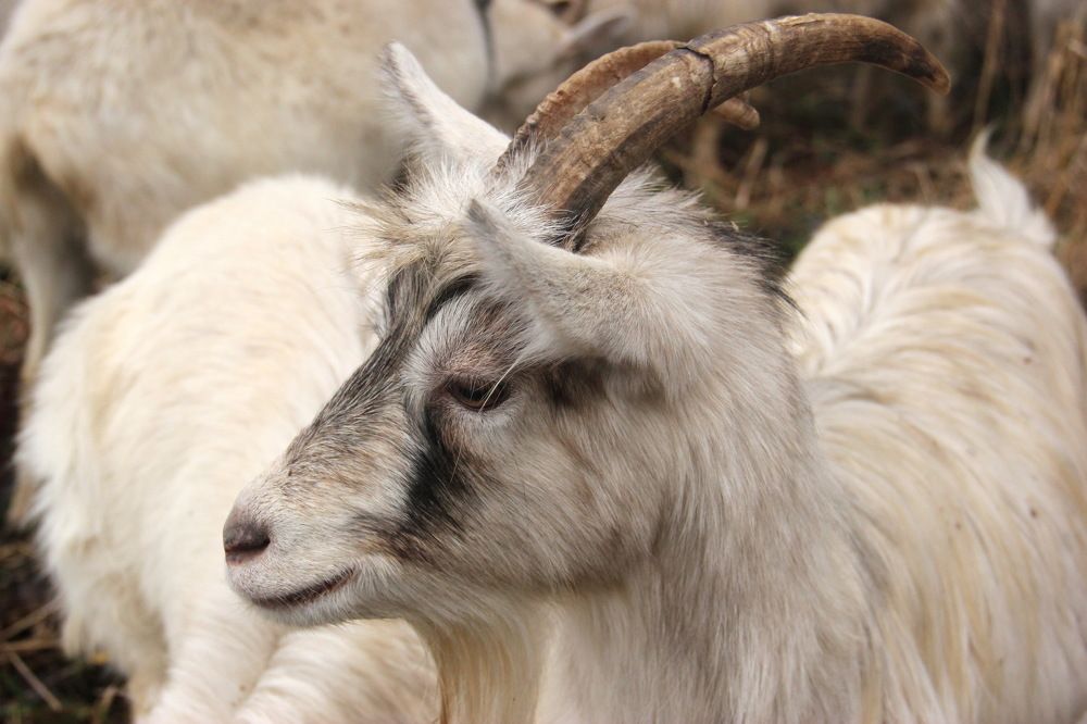 Photograph by Анна-Лаймуте Милошевич