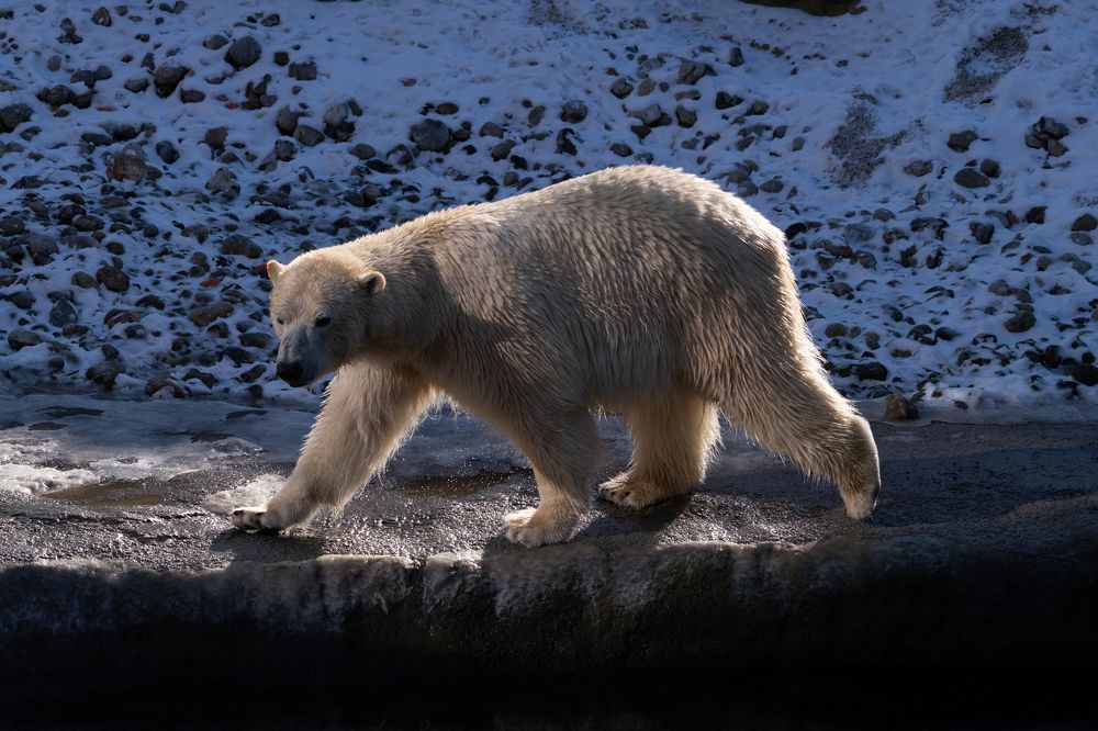 Photograph by Olivier De Greef