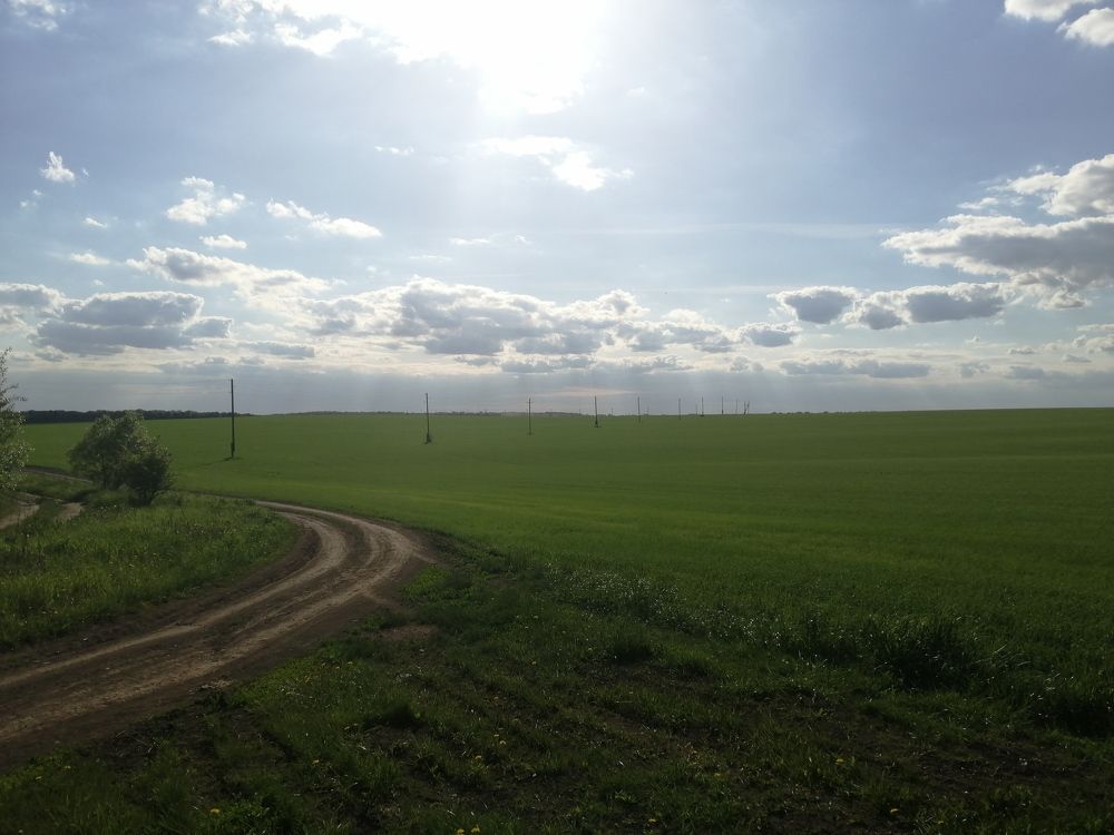 Photograph by Анка Ldinka