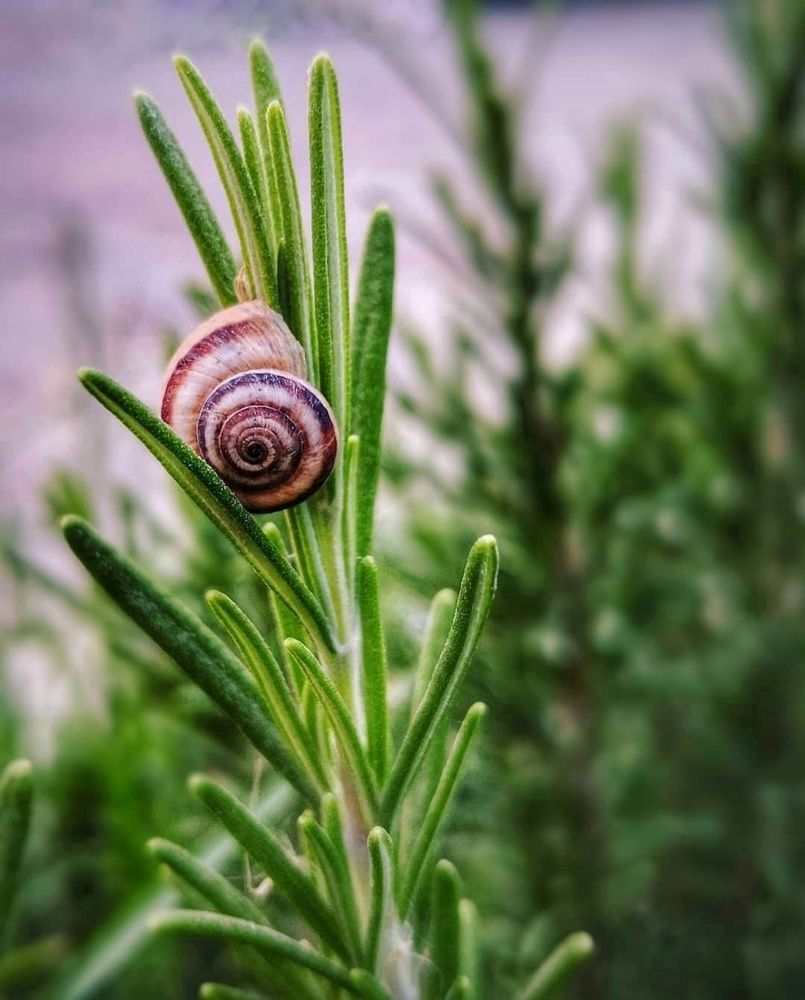 Фотография автора Zahra Seyedmorti