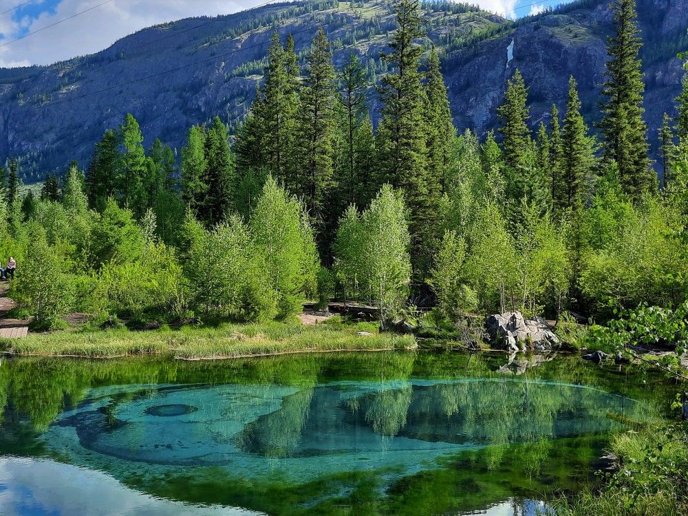 Фотография автора Елена Пикатова