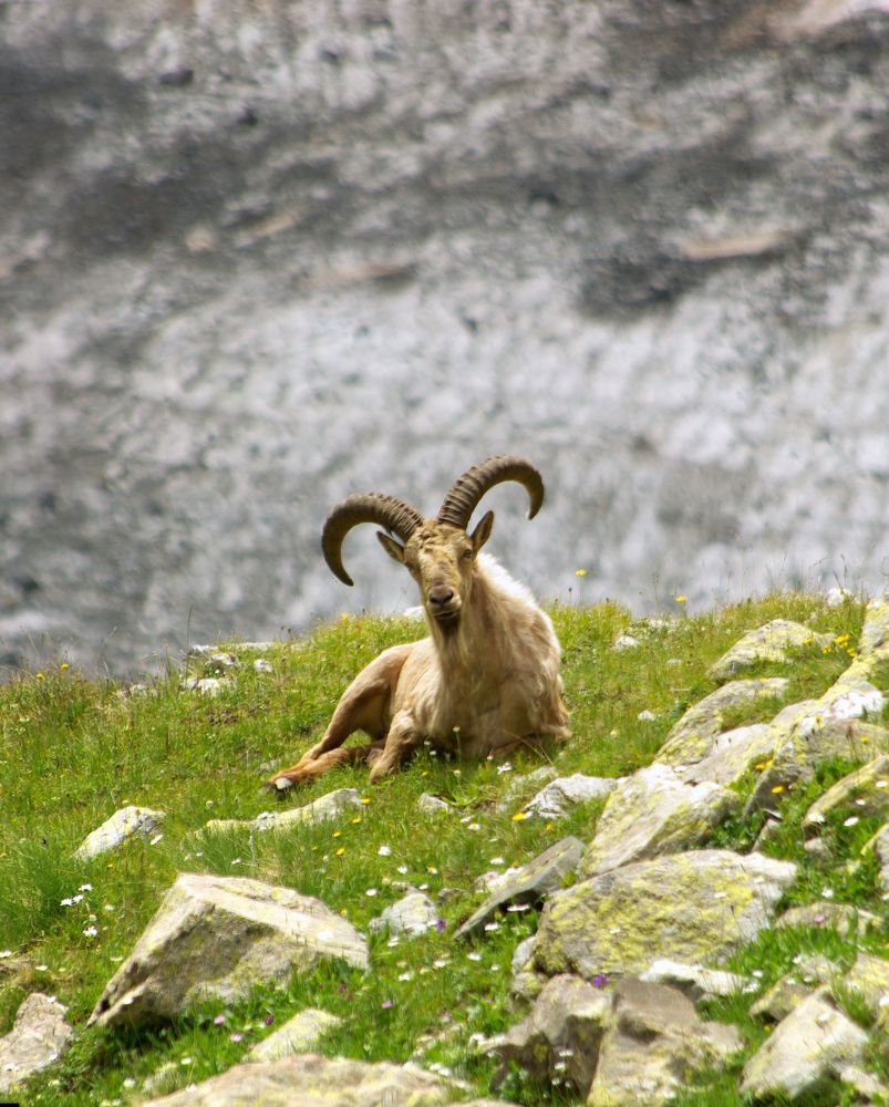 Photograph by Андрей Любимов