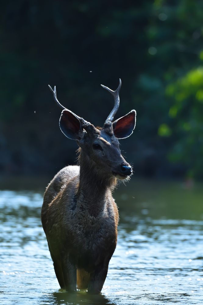 Фотография автора Ishan Vora