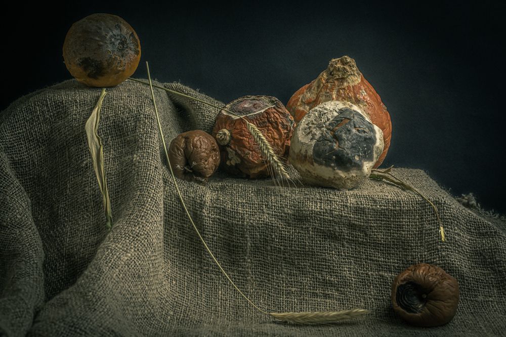 All that's left of autumn