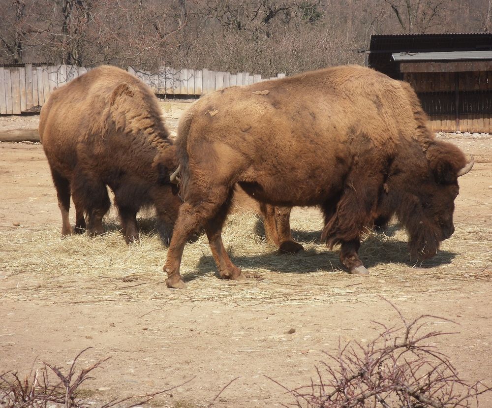 Фотография автора Андрей Павловский