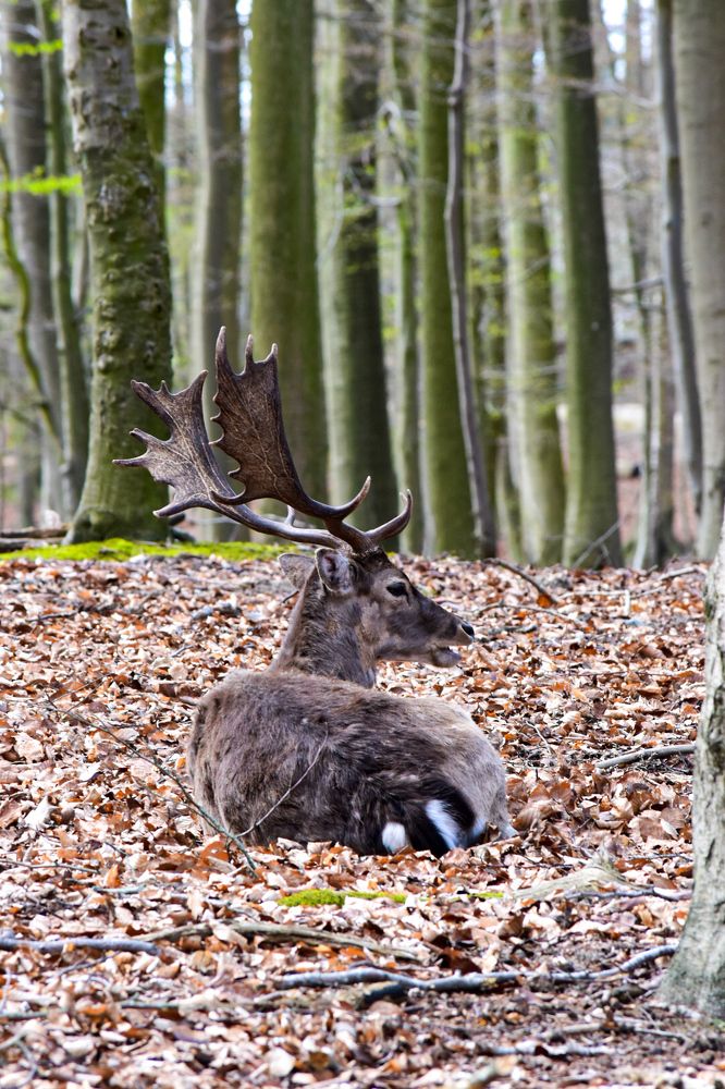 Photograph by Midhun Kanadan