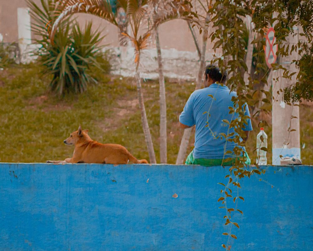 Photograph by Diego M Carvalho