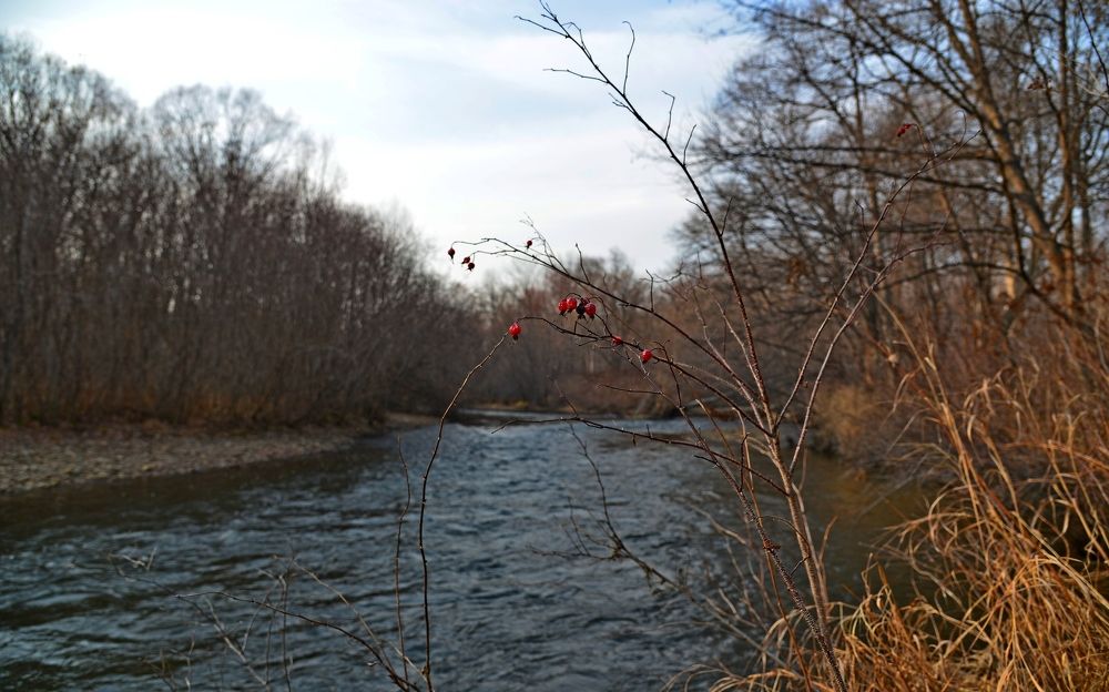Photograph by Владимир