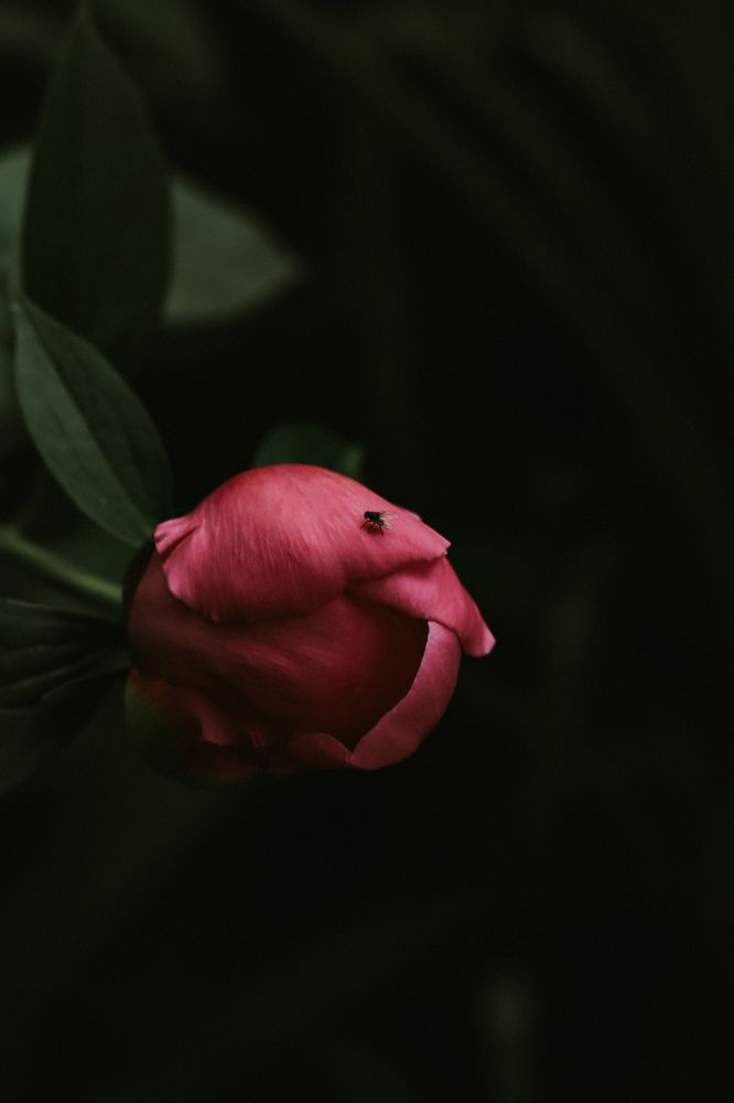 Фотография автора Daria CappuccinKo