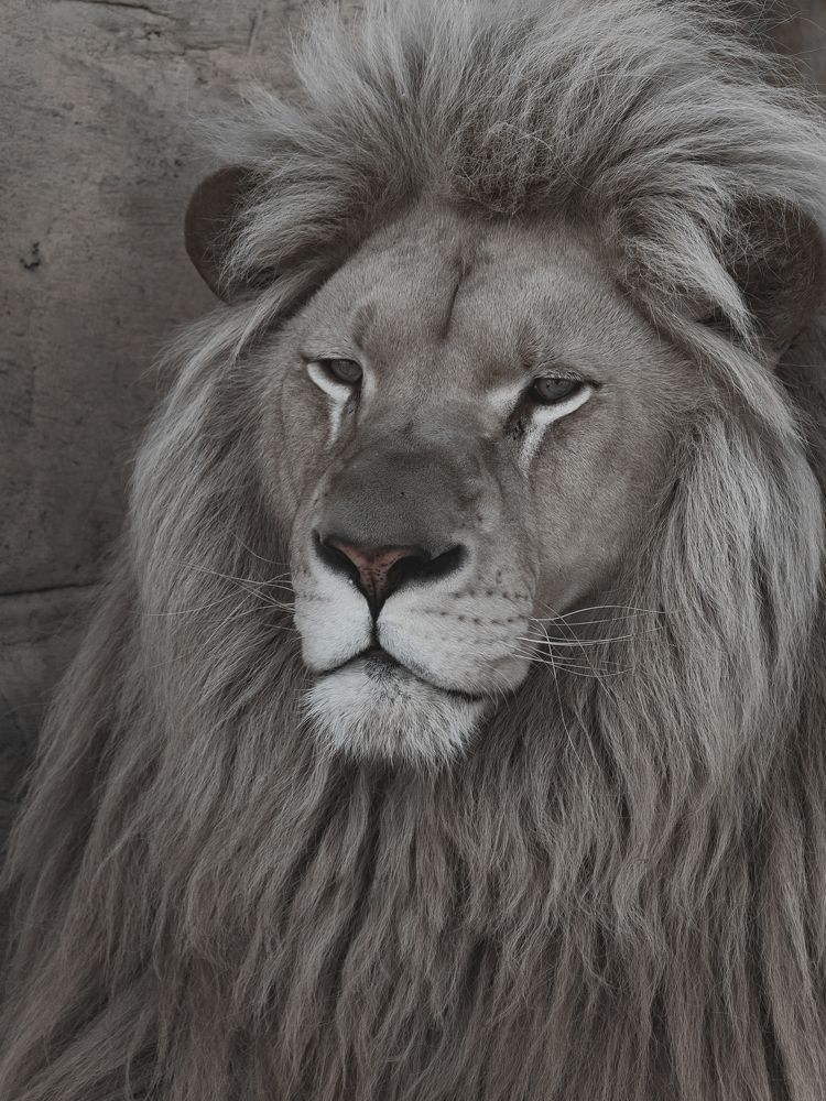 Photograph by Алексей Крукович