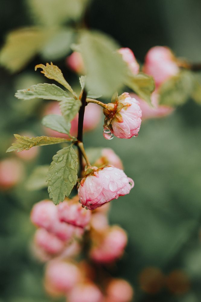 Фотография автора Daria CappuccinKo