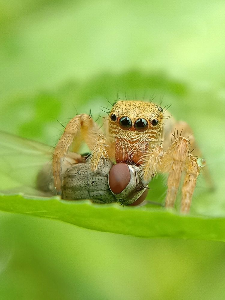 Photograph by Subhajit Jana