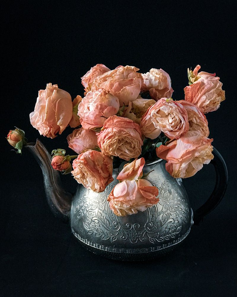 Photograph by Наталья Перерва