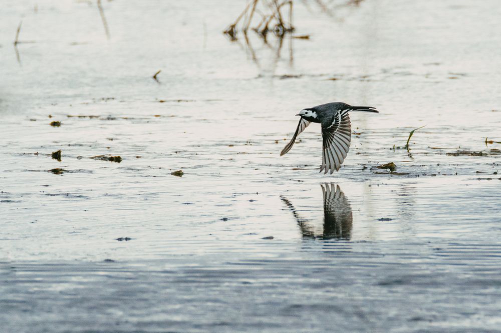 Photograph by Kamil Stępień