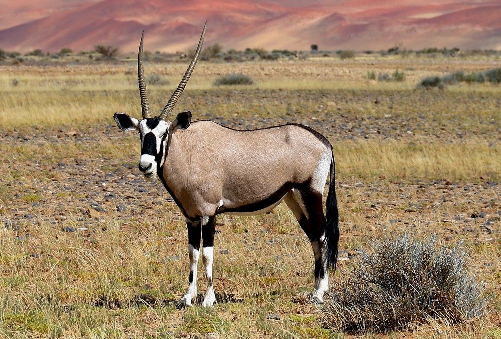 Фотография автора Диана Жагрина