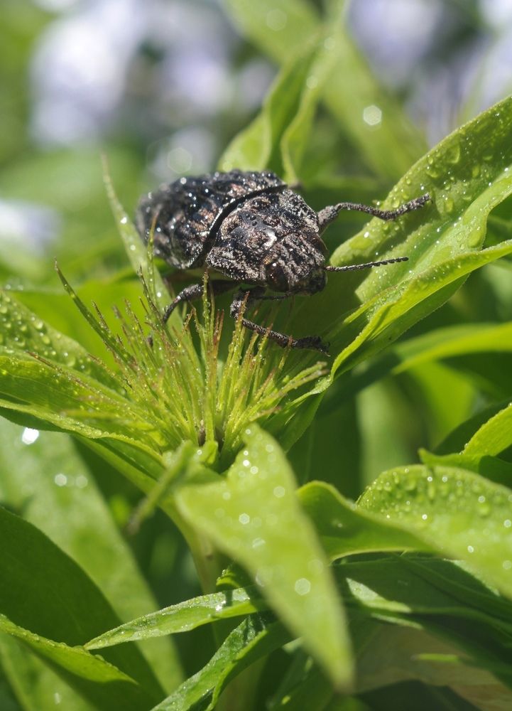 Photograph by алексей пережогин