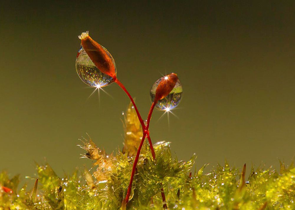 Фотография автора Andrey Pristyazhnyuk