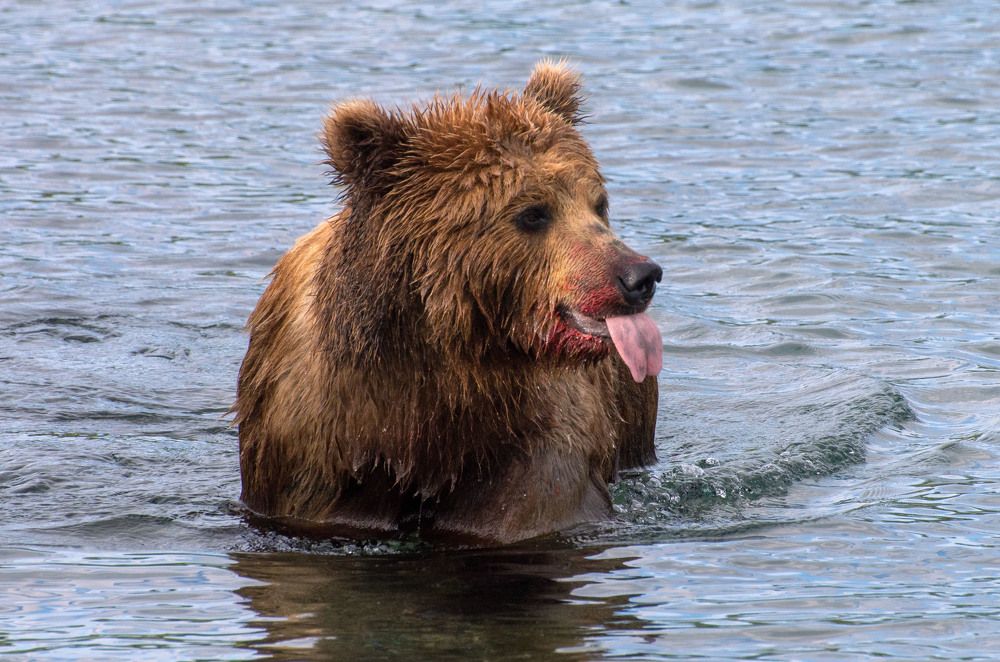 Photograph by Юлия Тельпова