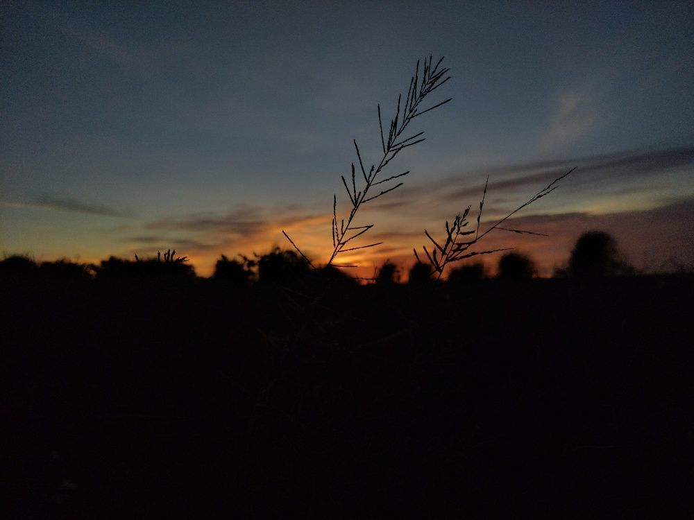 Фотография автора DAVIDJHON Gusi