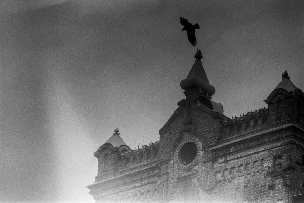 Photograph by Владислав Громов