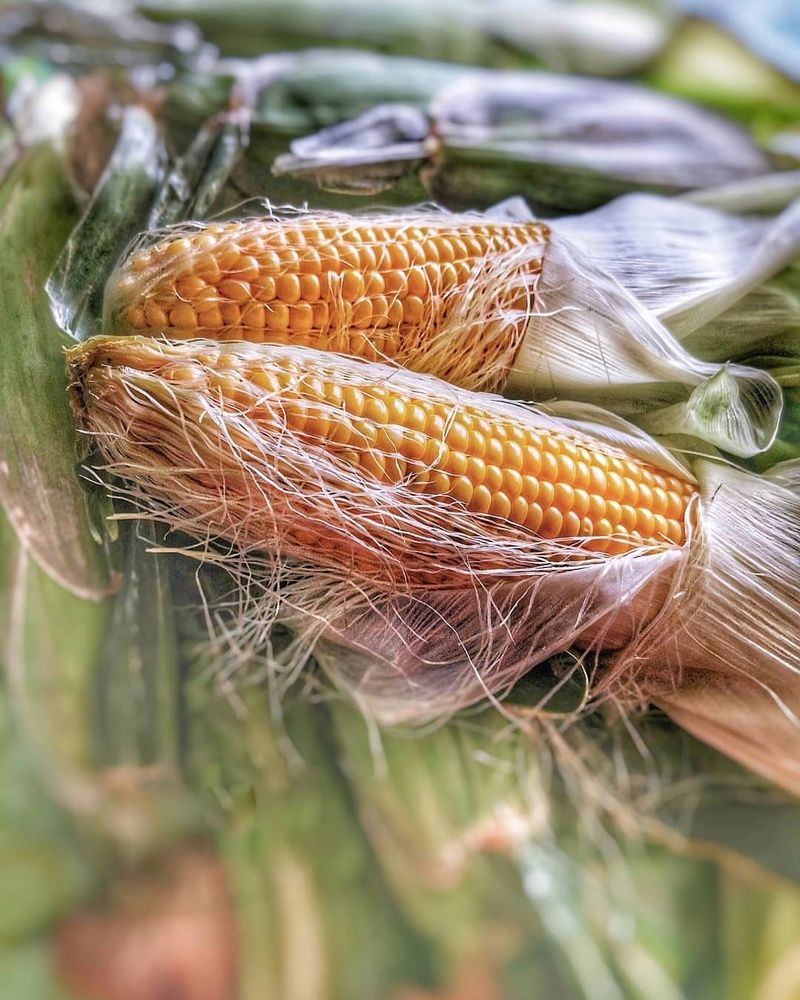 Фотография автора Zahra Seyedmorti