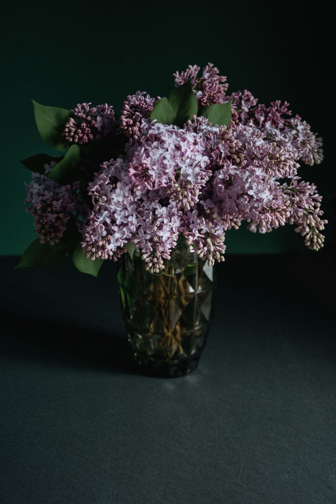 Photograph by Анастасия