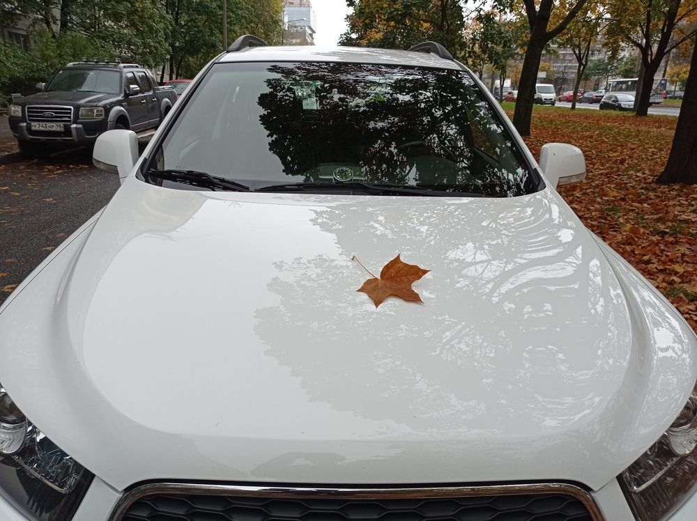 Photograph by Евгений Захаров