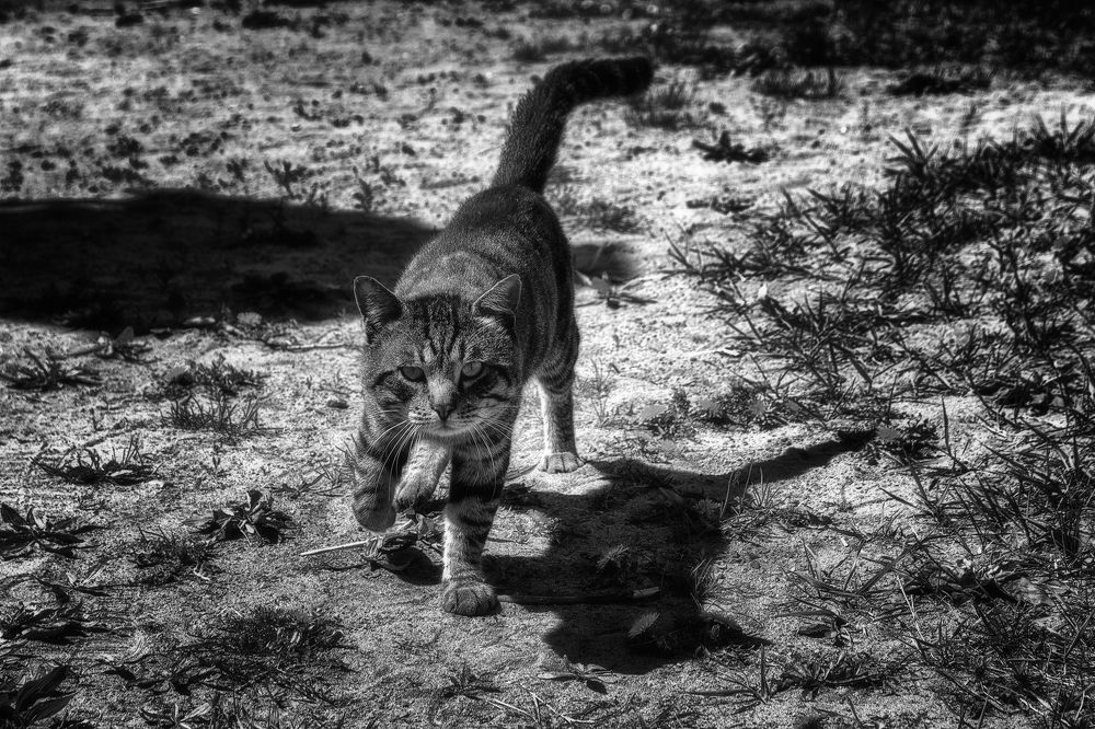 Photograph by Виктор Чернюк