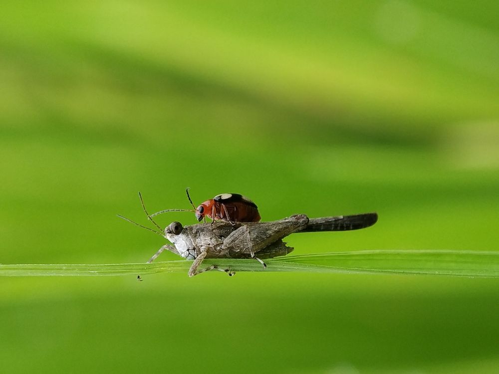 Photograph by Sourav Sakhari