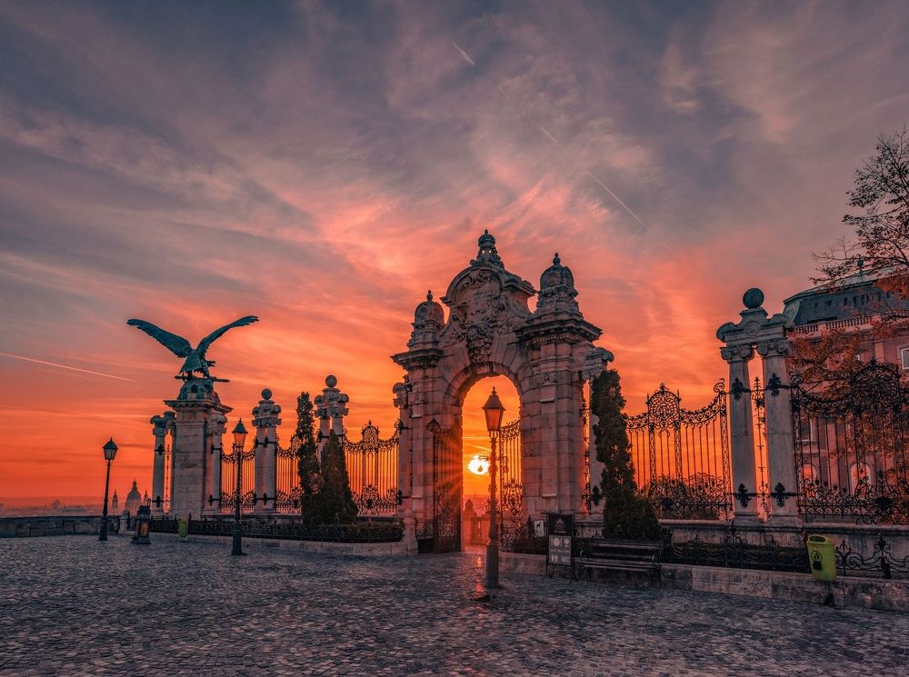 Photograph by Игорь Прошаков