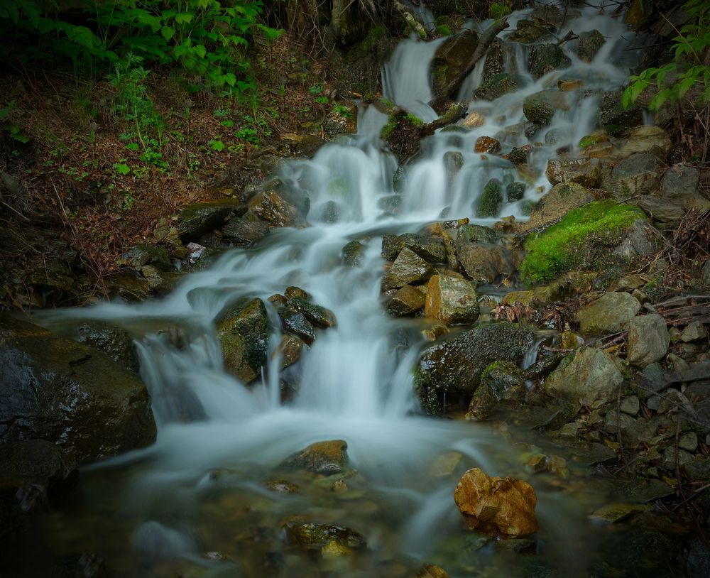 У лесного ручья