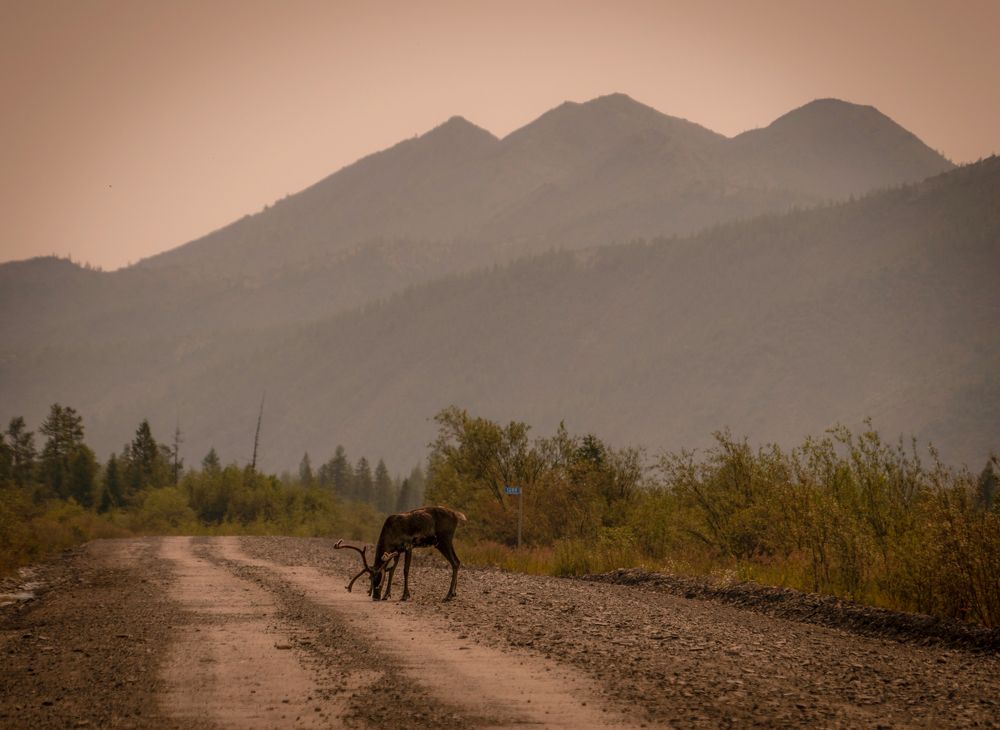 Photograph by Вероника Раевская
